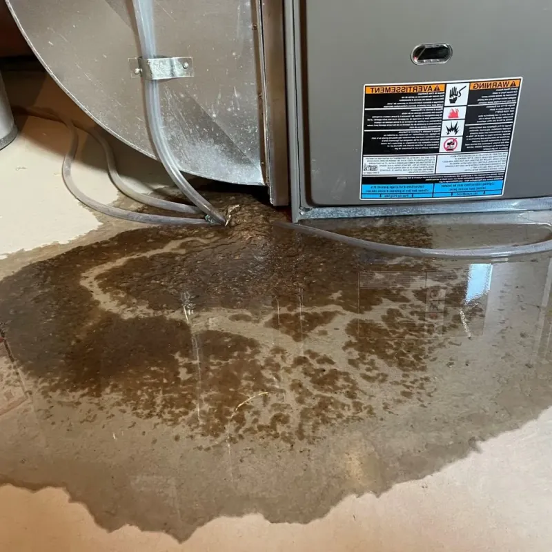 Pipe Burst and Leak Restoration in Orono, MN